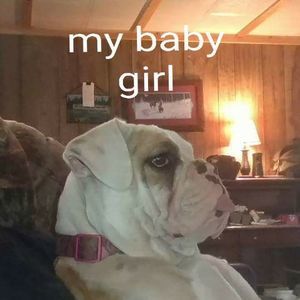 Meet your Posher, Gary